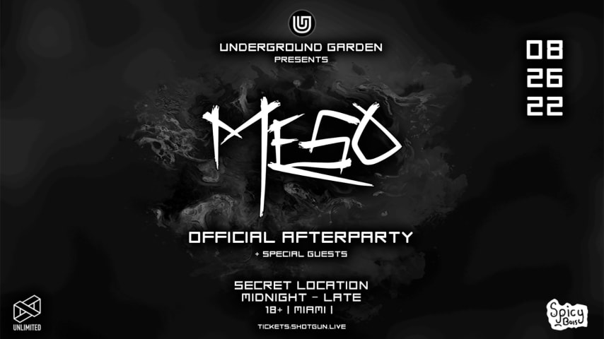 MESO AFTER PARTY  cover