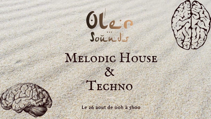 Melodic House & Techno #3 cover