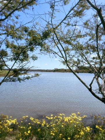 C R E M A   ás margens da Barragem Santa Bárbara cover