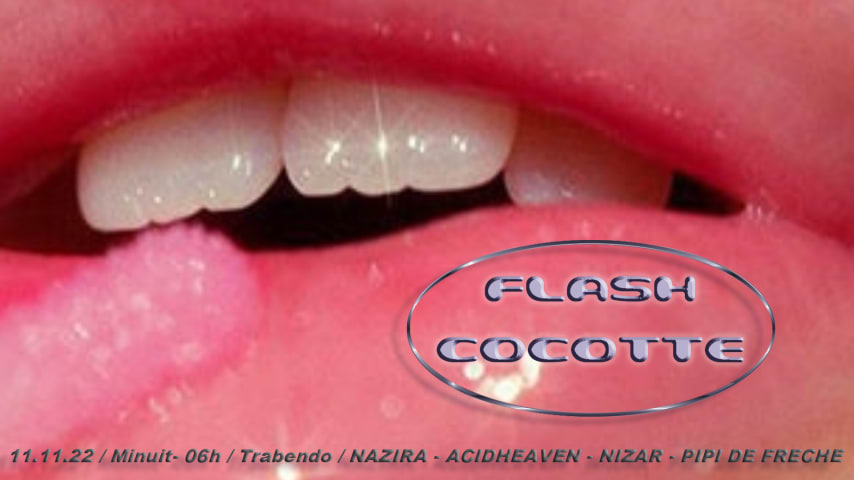 Flash Cocotte 11 novembre cover