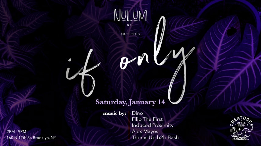 Nulum Nyc Presents: If Only cover