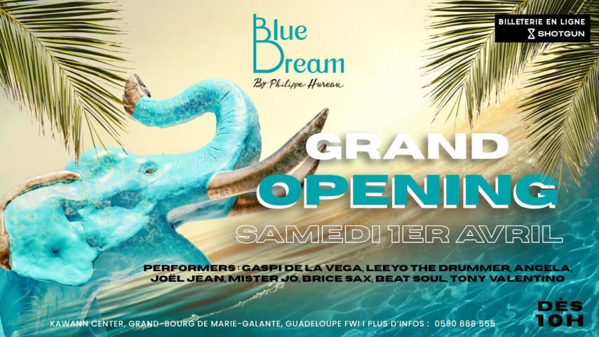 Grand Opening - Blue Dream By Philippe Hureau cover