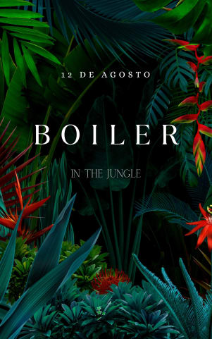 Boiler in the Jungle cover