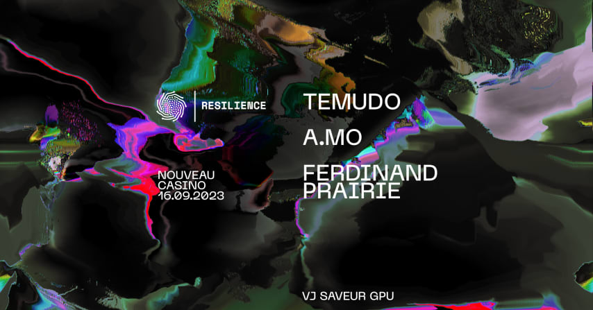 RESILIENCE : Temudo, A.mo, Ferdinand Prairie cover