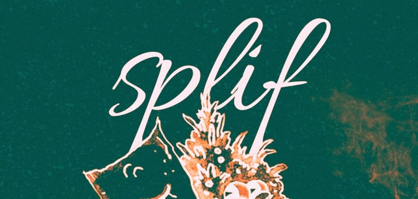 Splif #01