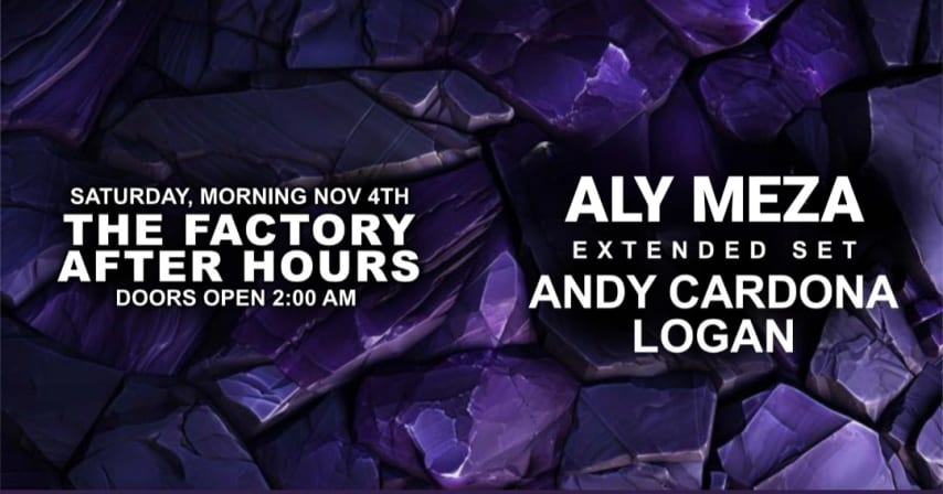 THE OFFICIAL BKLYN AFTER HOURS - ALY MEZA - ANDY C - LOGAN cover