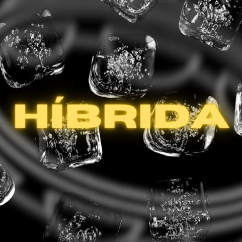 HÍBRIDA 002 — Edição Especial "QUEM SAMBA PRIMEIRO" 16/12 cover