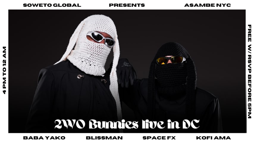 2WOBUNNIES Live in DC cover