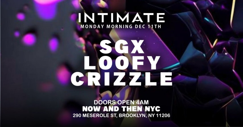 The Official Bklyn Party Sgx - Loofy - Crizzle cover