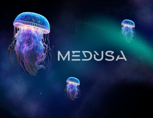 MEDUSA cover