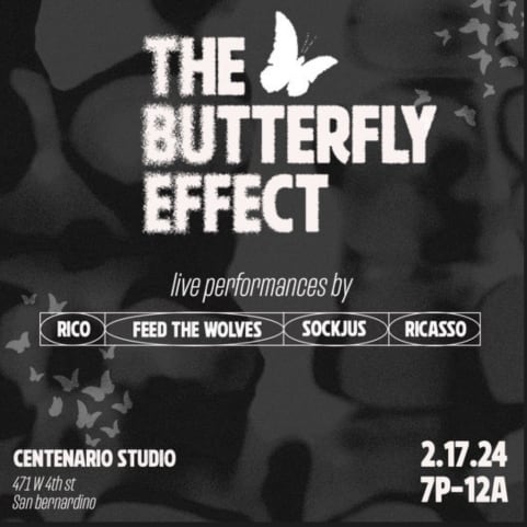 The Butterfly Effect cover