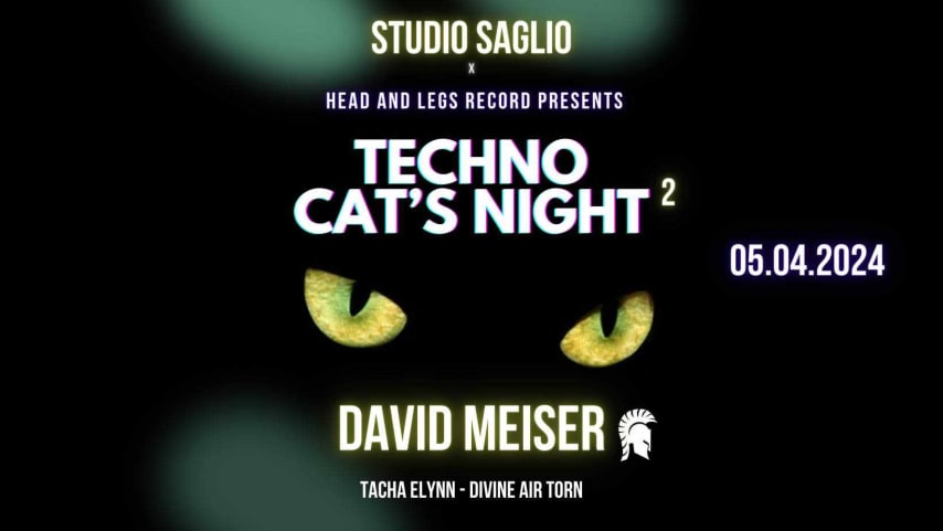 TECHNO CAT'S NIGHT 2 cover