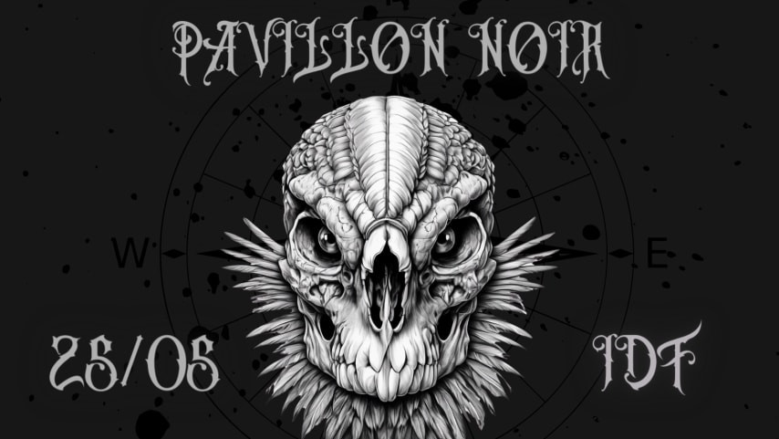 Pavillon Noir // Sound Of Pirates cover