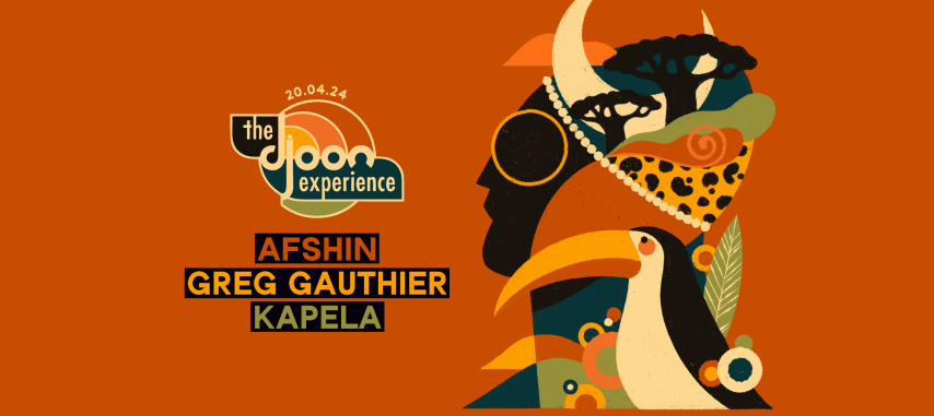 Djoon: The Djoon Experience - Kapela, Afshin & Greg Gauthier cover