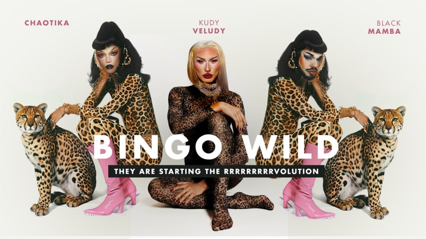 BINGO WILD - Bingo Drag - 28/04 cover