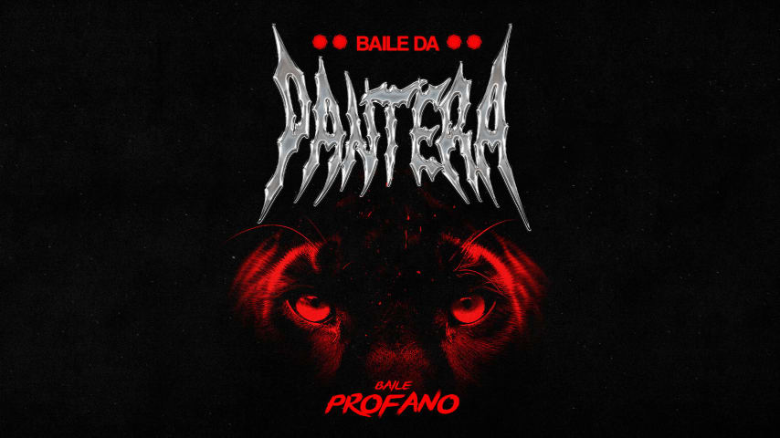 BAILE DA PANTERA (11.05) cover