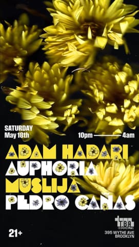 Midtown House NYC: Adam Hadari, Auphoria,Muslija,Pedro Cañas cover