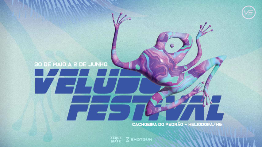 Veludo Festival cover