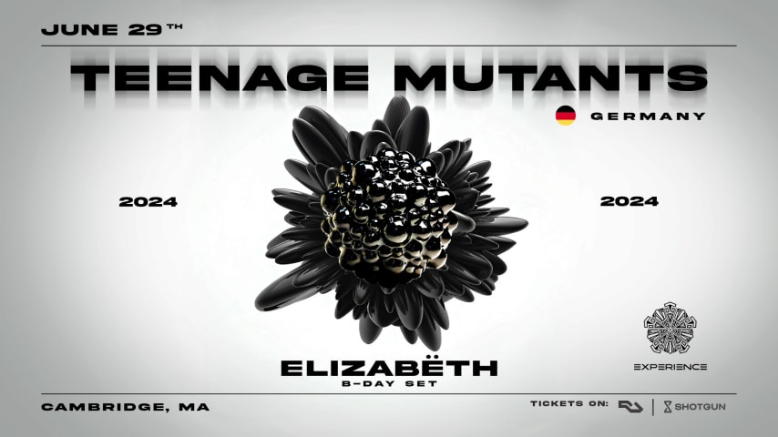 Experience + Teenage Mutants cover