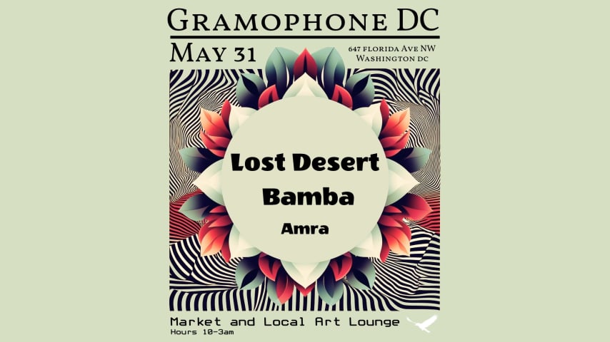 Lost Desert Night cover