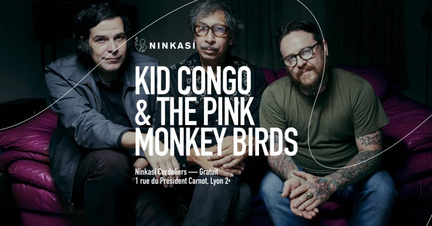 Kid Congo & The Pink Monkey Birds cover