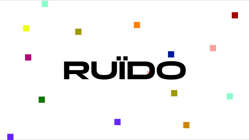 RUÏDO FESTIVAL cover