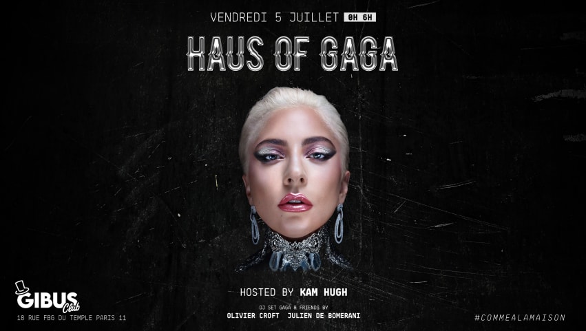 Haus Of Gaga cover