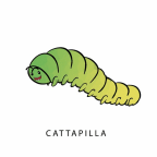 Cattapilla