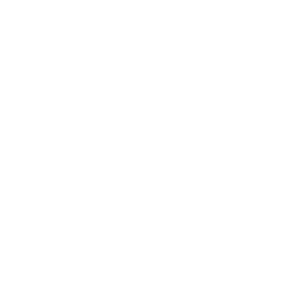 SHOTGUN 2.0