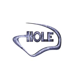 HOLE PARTY