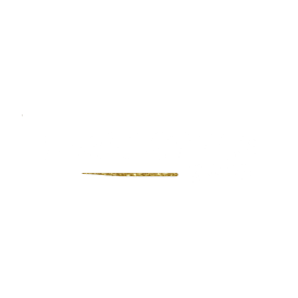 Paillettes Pompettes