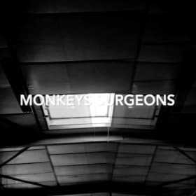 Monkeys Surgeons