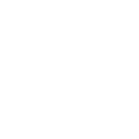 SHOTGUN 2.0