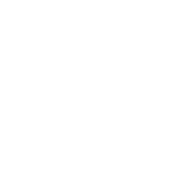 PALOSANTO