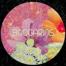 Boogarins