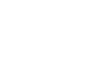 Rock en Seine