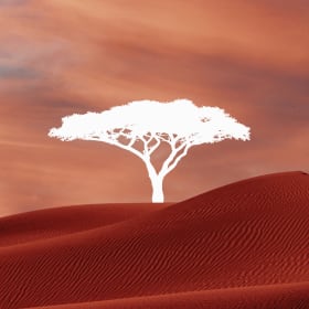 Tree of Ténéré