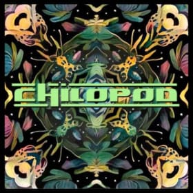 Chilopod