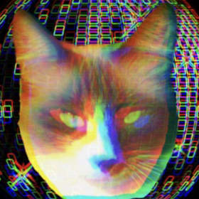 itsDiscoCat