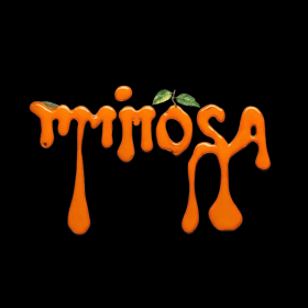 _______mimosa