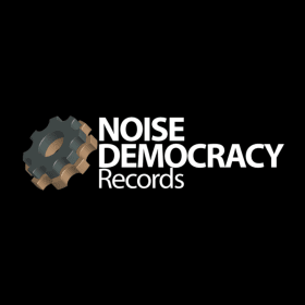 Noise Democracy