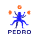 PEDRO BOOKING