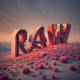 RAW’corp