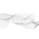 RAPTA RECORD