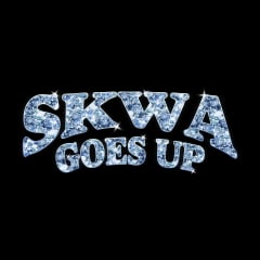 SKWA GOES UP PARTY !  cover