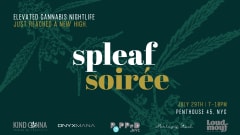 Spleaf Soirée cover