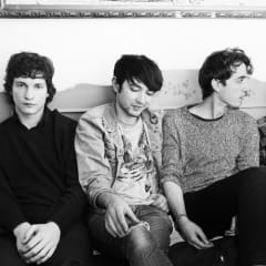 Beach Fossils