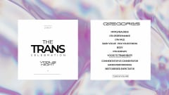 THE TRANS CELEBRATION cover