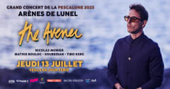 THE AVENER DJ SET - LES ARENES DE LUNEL cover