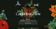 Caribbean Flow Fest 4 cover